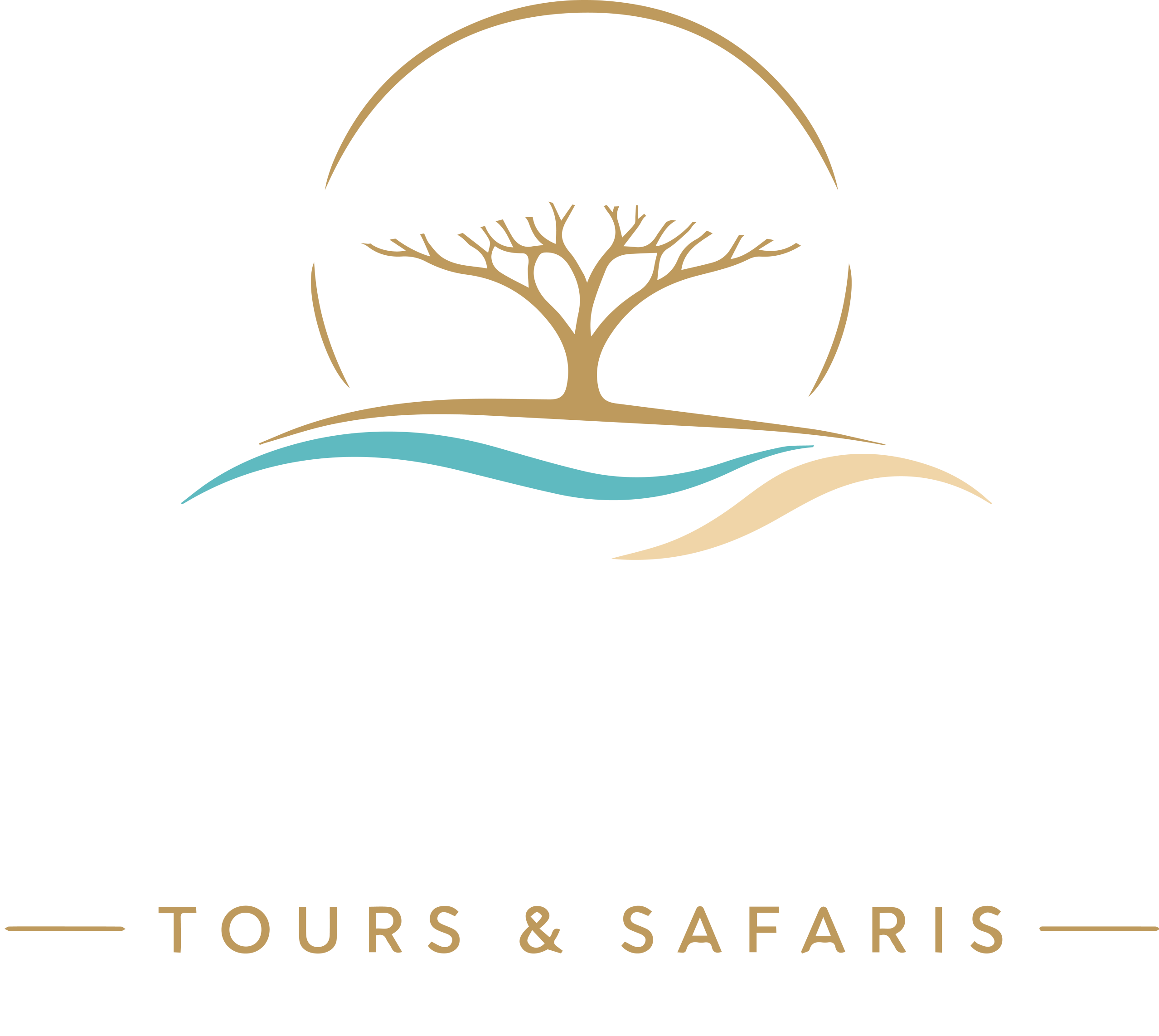 Golo Tours & Safaris